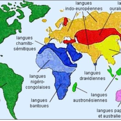 To which language group does your language belong?