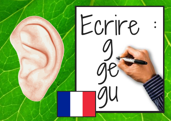 Quand écrire « g », « ge » ou « gu » en français ?
